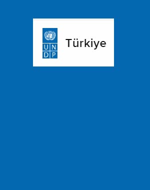 UNDP'nin Türkiye'deki iş ilanları ( iş fırsatları)