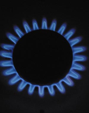 Enerji ve Tabi Kaynaklar Bakanlığı Yabancı Yatırımcılara Yönelik Türkiye'de Doğal Gaz Sektörü için Yatırım Rehberi