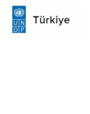UNDP'nin türkiye'deki iş ilanları ( job title)