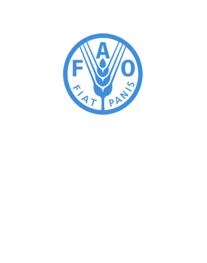 FAO – Üst Düzey İş İlanları 27 Mayıs 2022
