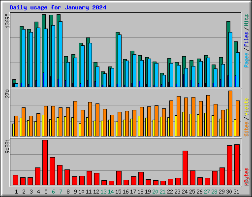 Daily usage for January 2024