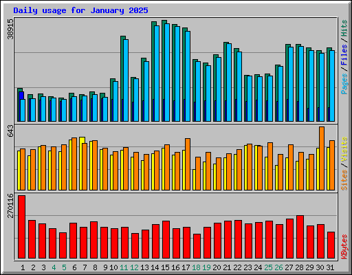 Daily usage for January 2025