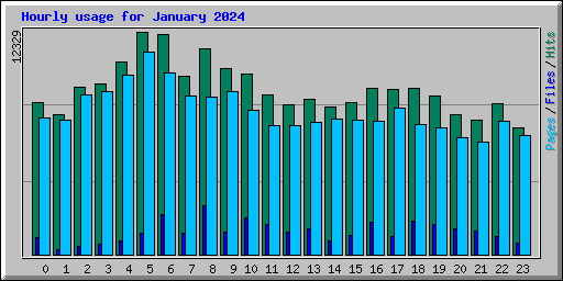 Hourly usage for January 2024