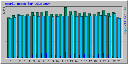 Hourly usage for July 2024