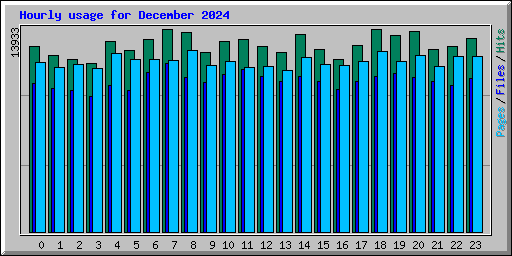 Hourly usage for December 2024