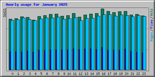 Hourly usage for January 2025