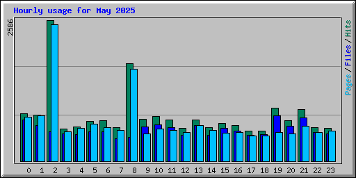 Hourly usage for May 2025